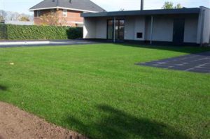 tuin met gras en zwembad